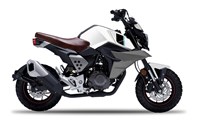 FK Motors FK 12 MS Mini Scrambler 2021 - Bild 3