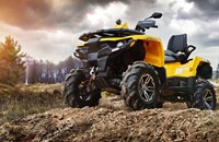 Stels Guepard 850G Trophy Pro 2021 - Bild 13