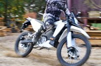 Trinity Neon X 2021 - Image 1