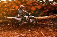 Trinity Neon X 2021 - Image 3