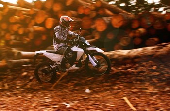 Trinity Neon X 2021 - Image 3