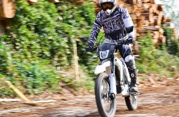 Trinity Neon X 2021 - Image 4