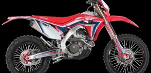 Fantic XE 300 2024 vs Red Moto CRF 300RX Enduro Special 2021