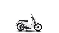 Motron Cubertino 2021