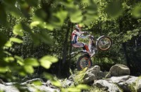 Montesa 2RT260 RR 2021 - Bild 6