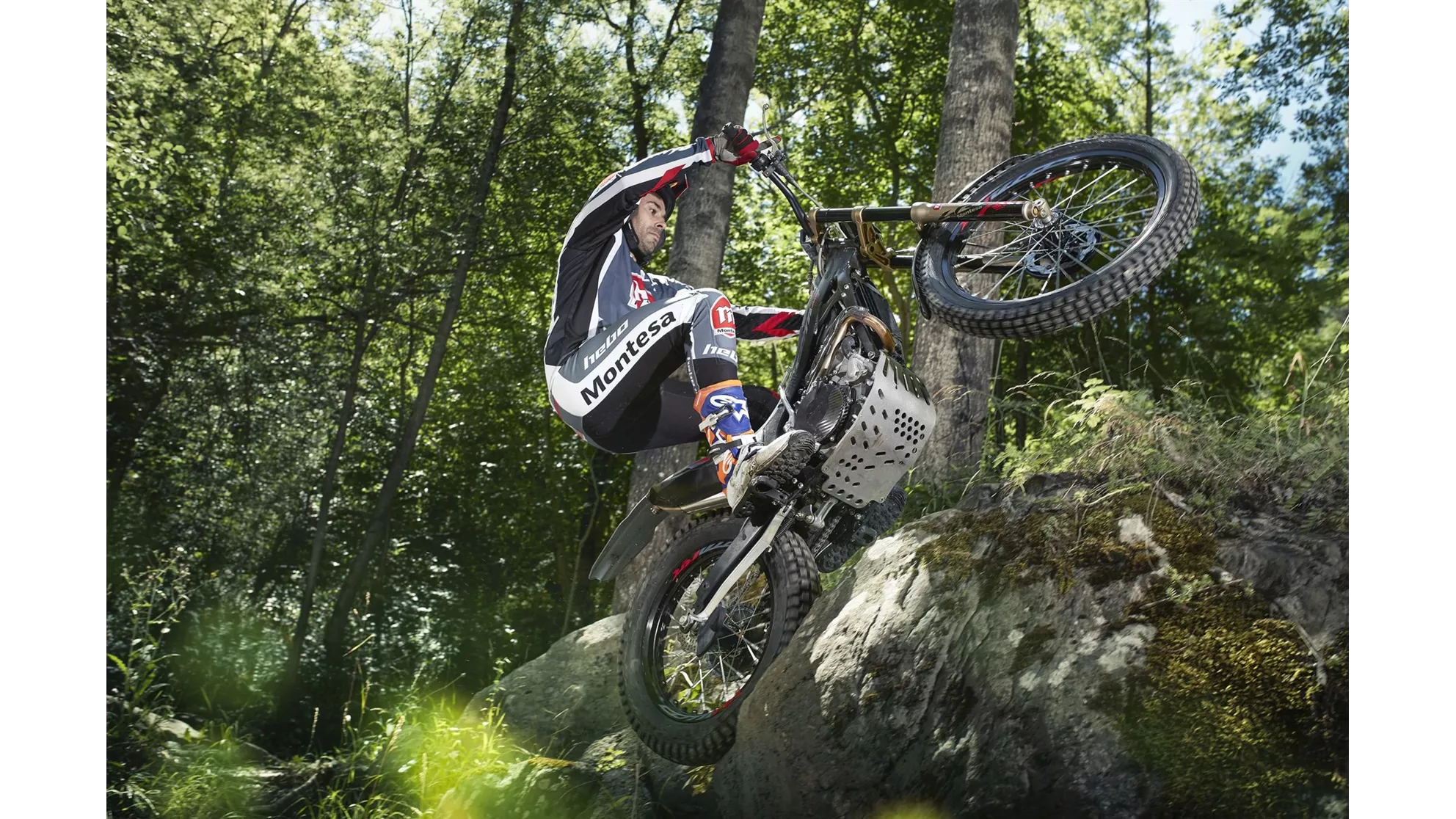 Montesa Cota 301RR - Image 5 Montesa Cota 301RR - Image 5