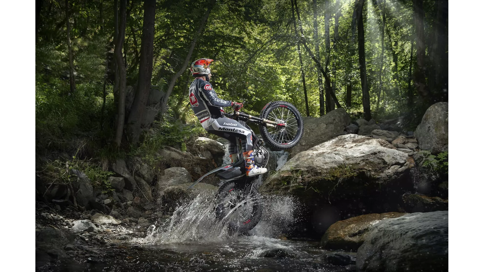 Montesa Cota 301RR - Image 6 Montesa Cota 301RR - Image 6