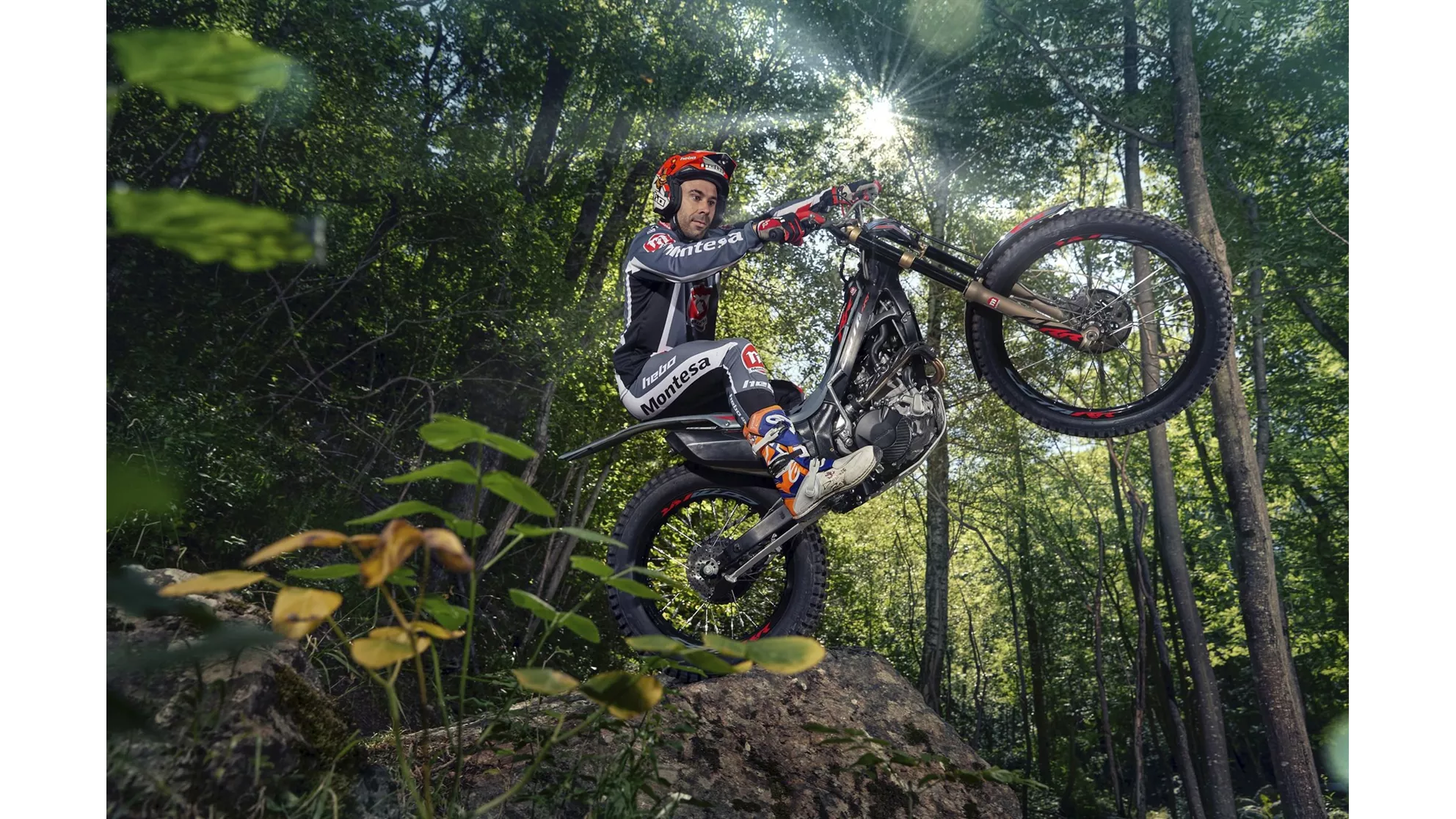 Montesa Cota 301RR - Image 7 Montesa Cota 301RR - Image 7