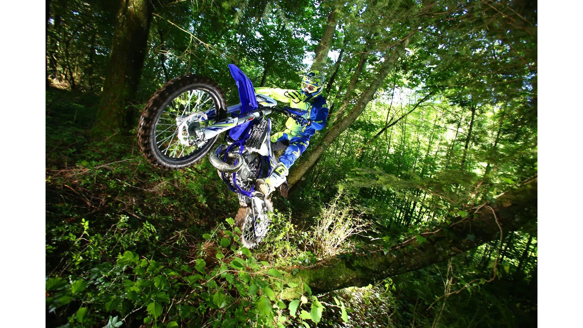 Sherco 300 SE-R - Image 9 Sherco 300 SE-R - Image 9