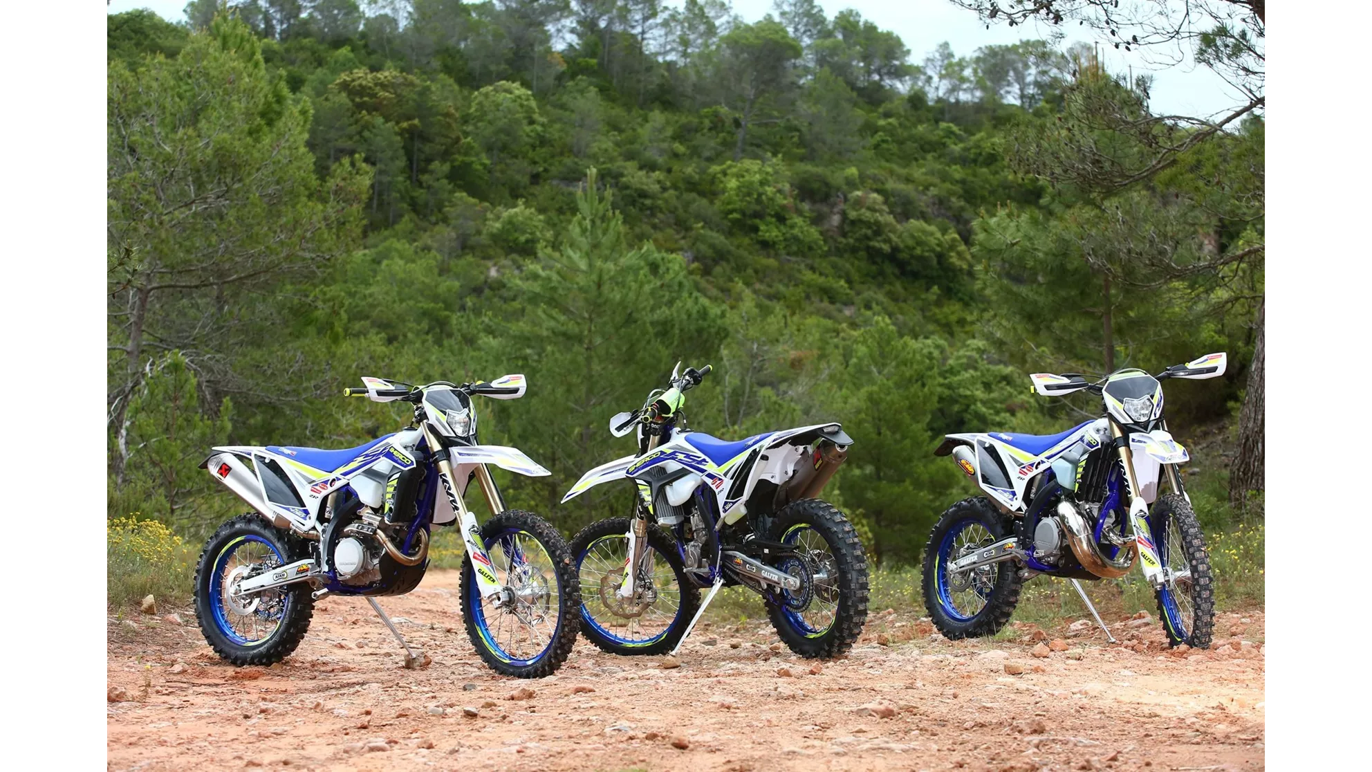 Sherco 250 SEF Factory - Image 16 Sherco 250 SEF Factory - Image 16