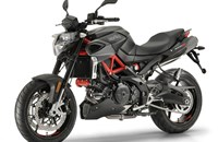 Aprilia Shiver 900 2021 - Bild 5