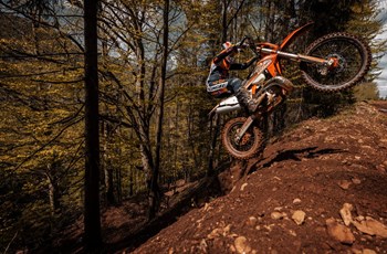 KTM 300 EXC TPI Erzberg Edition 2022 - Bild 9
