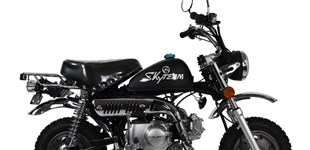 Skyteam SkyMini 125 2022 vs Skyteam Skymax 125 2018 Skyteam SkyMini 125 2022 vs Skyteam Skymax 125 2018