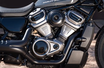 Harley-Davidson Nightster 2022 - Bild 7 Harley-Davidson Nightster 2022 - Bild 7