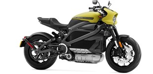 Harley-Davidson LiveWire ELW 2022 vs Harley-Davidson Softail Fat Bob 114 FXFBS 2024