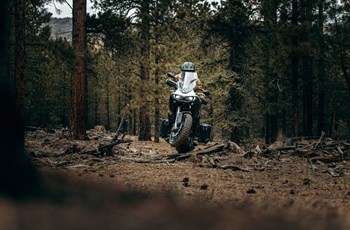 Zero DSR/X 2022 - Bild 9