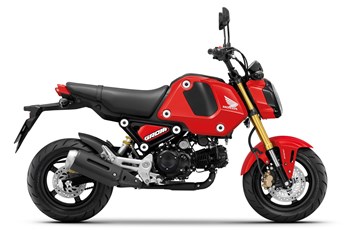 Honda MSX125 Grom 2022 - Bild 3 Honda MSX125 Grom 2022 - Bild 3