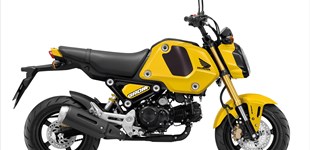 Honda MSX 125 2015 vs Honda MSX125 Grom  2022