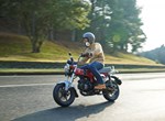Honda Dax 125
