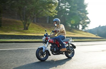 Honda Dax 125 2022 - Bild 16