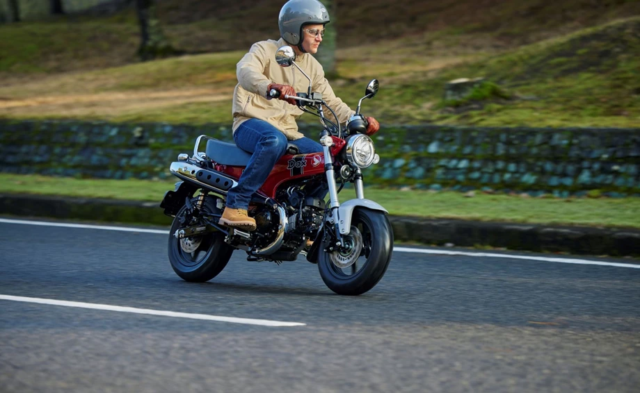 Honda Dax 125 Bild 2: Honda Dax 125