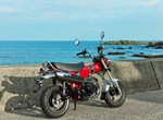 Honda Dax 125