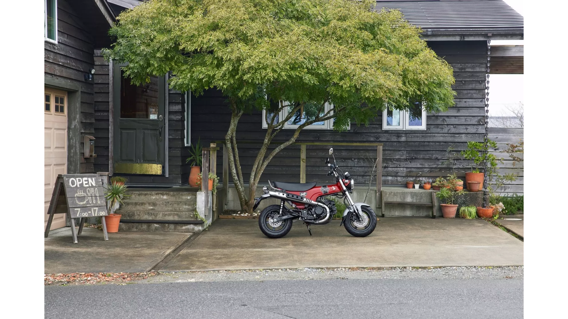 Honda Dax 125 - Image 17 Honda Dax 125 - Image 17