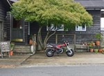Honda Dax 125