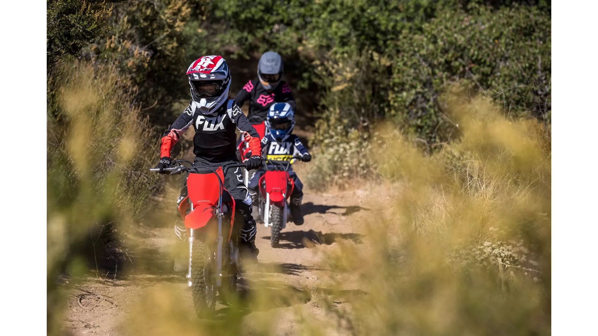 Honda CRF110F - Image 1 Honda CRF110F - Image 1