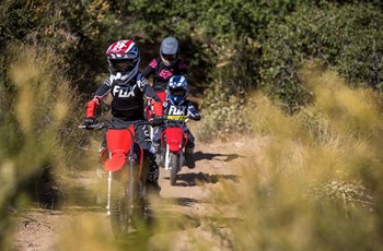 Honda CRF110F 2022 - Bild 3