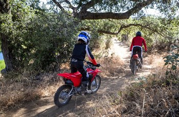 Honda CRF110F 2022 - Bild 6