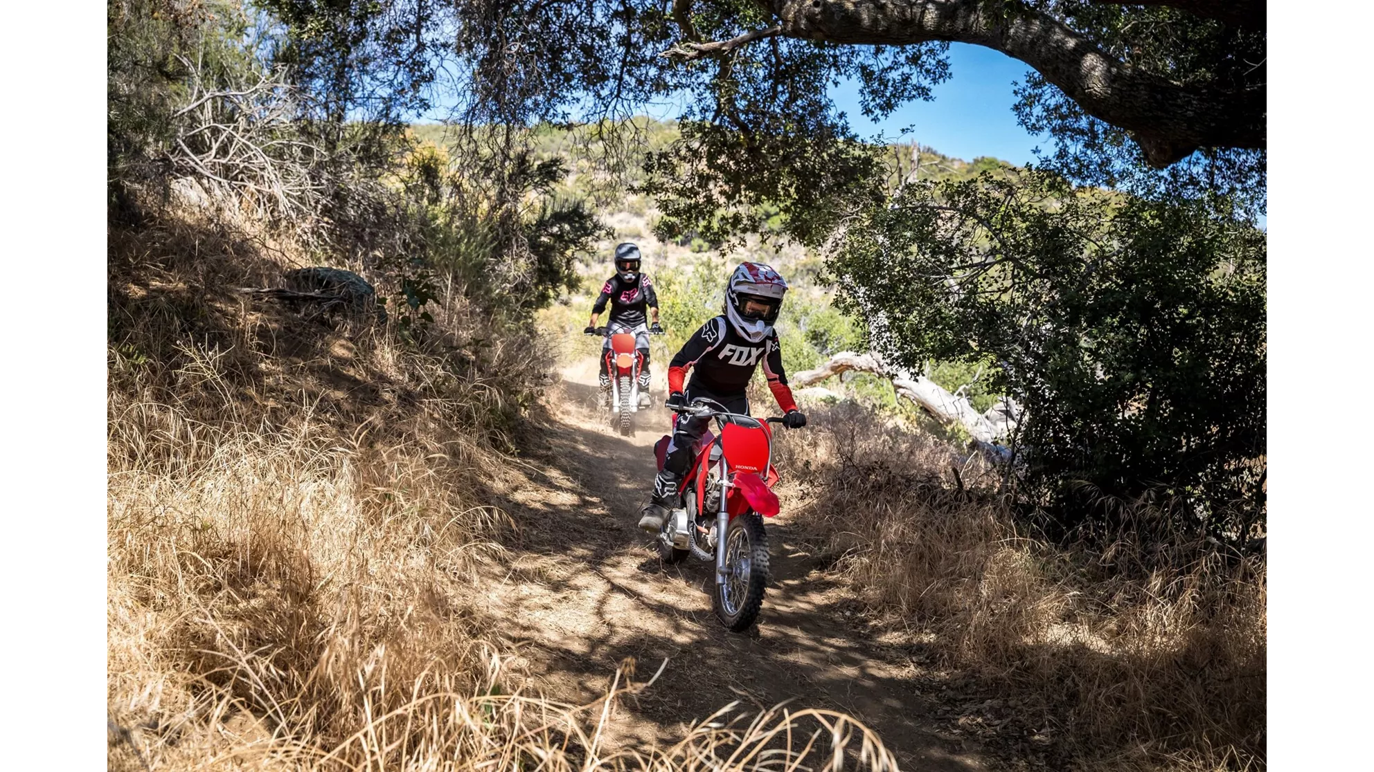 Honda CRF110F - Image 5 Honda CRF110F - Image 5