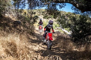 Honda CRF110F 2022 - Bild 7