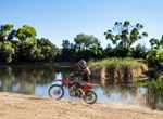 Honda CRF125F