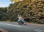 Honda Super Cub C 125