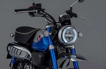 Honda Monkey 125 2022 - Bild 14