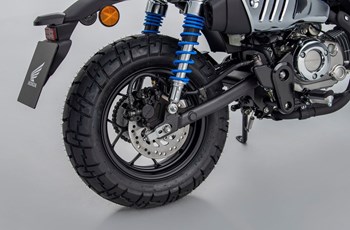 Honda Monkey 125 2022 - Bild 23