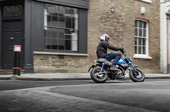 Honda Monkey 125 2022 - Bild 27