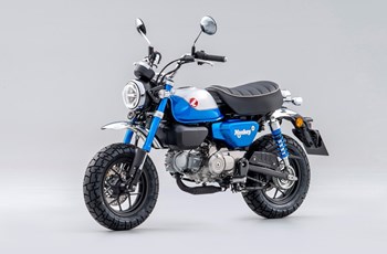 Honda Monkey 125 2022 - Bild 29