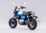 Honda Monkey 125