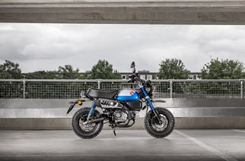 Honda Monkey 125 2022 - Bild 3