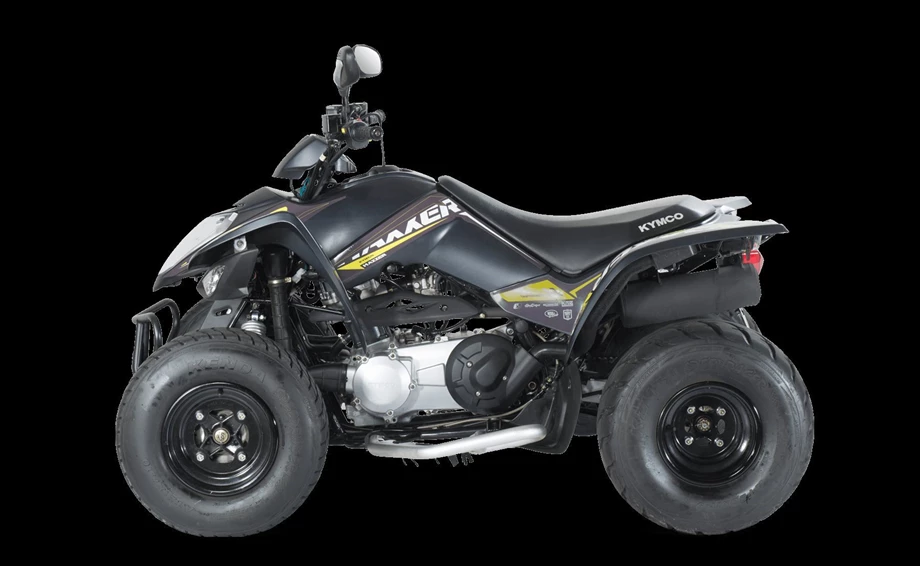 Kymco Maxxer S 300 T Onroad Bild 3: Kymco Maxxer S 300 T Onroad