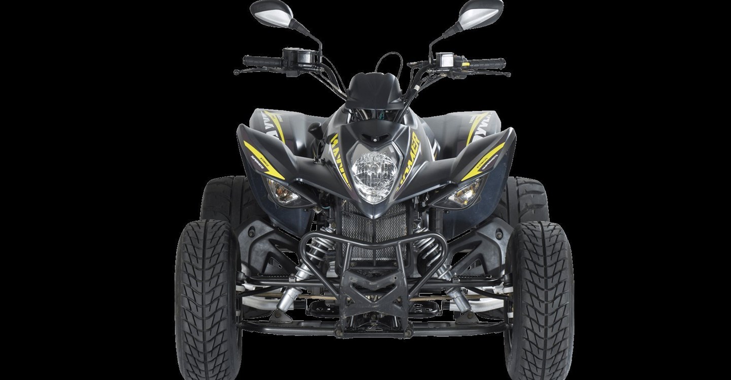 Kymco Maxxer S 300 T Onroad
