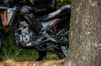 Malaguti Dune 125 X Black Edition 2022 - Bild 2 Malaguti Dune 125 X Black Edition 2022 - Bild 2