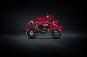 Malaguti XSM 50 Supermoto 2022 - Bild 9