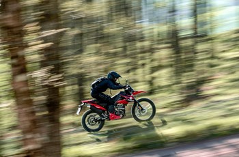 Malaguti XTM 125 Enduro 2022 - Bild 5 Malaguti XTM 125 Enduro 2022 - Bild 5