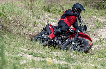 Malaguti XTM 125 Enduro 2022 - Bild 6 Malaguti XTM 125 Enduro 2022 - Bild 6