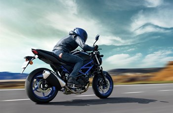 Suzuki SV650 2022 - Bild 8 Suzuki SV650 2022 - Bild 8