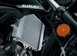 Suzuki GSX-S125