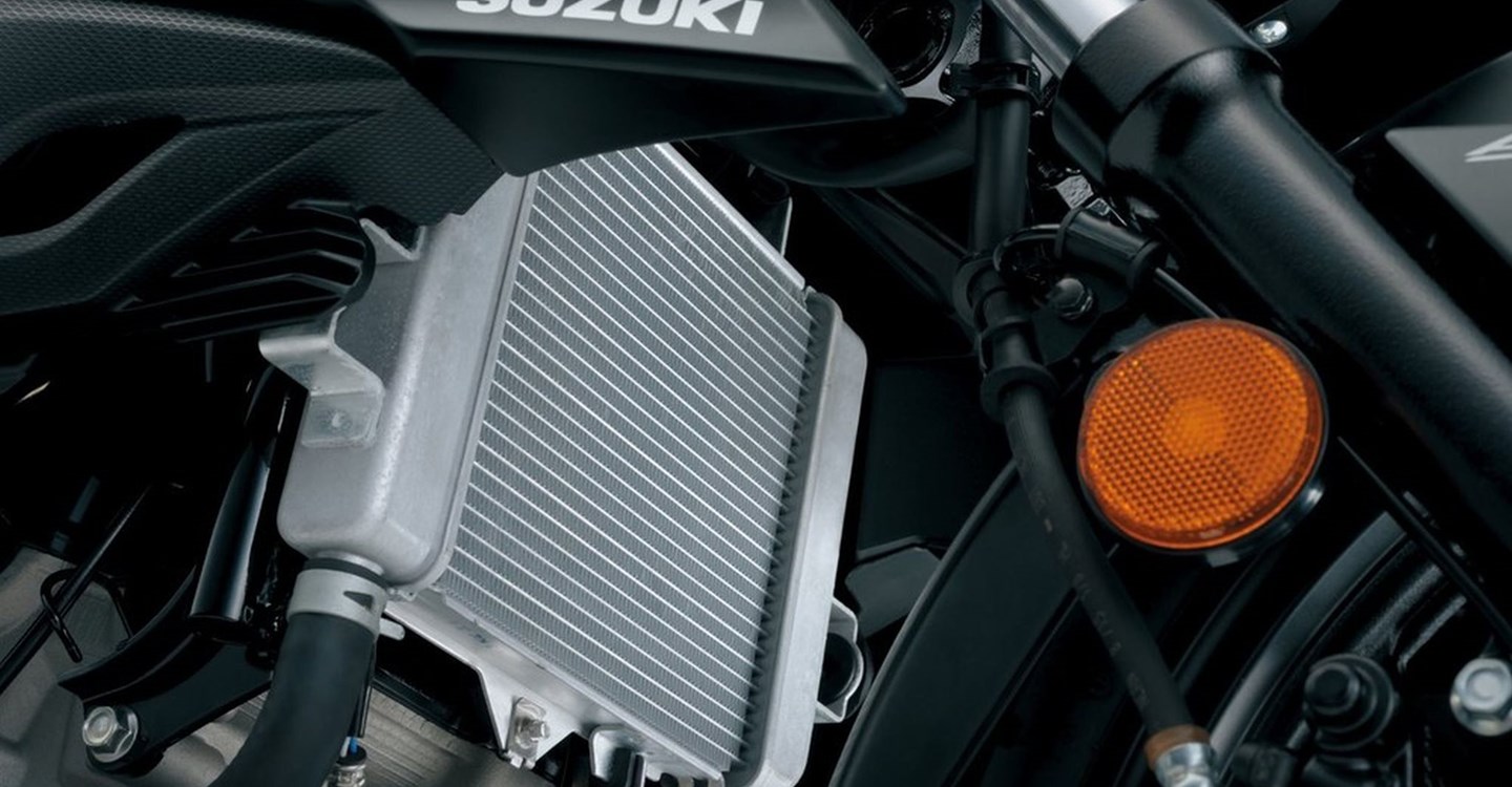 Suzuki GSX-S125
